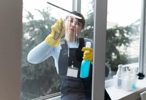 Nettoyage de vitres intérieures et extérieures à la Pesse